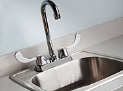 Stainless Steel Sink and Gooseneck Faucet with Wing Levers/Clinton